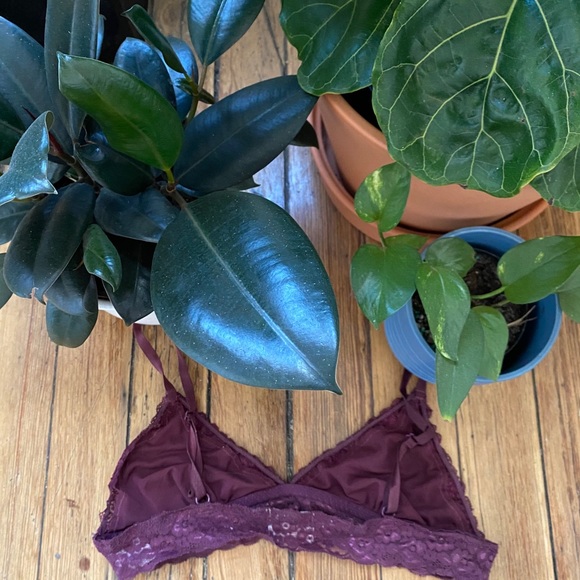 Urban Outfitters Bralette - Picture 3 of 4